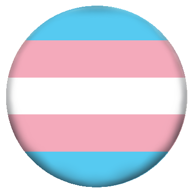 Trans*-Flagge - zum Schließen ins Bild klicken